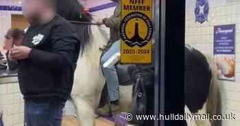 Men on horses ride into tiny chippy leaving customers stunned