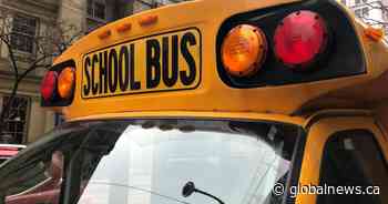 Students at 2 Ontario boards have been without buses for weeks. There may finally be a solution