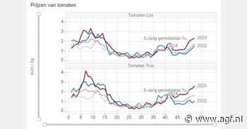 Prijs voor trostomaten blijft stijgen, losse tomaten dalen licht in prijs