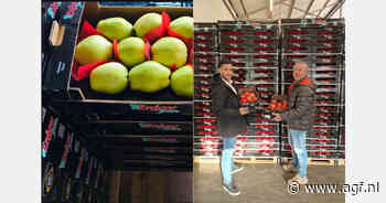 "Vanuit heel Europa neemt vraag naar Turkse trostomaten toe"