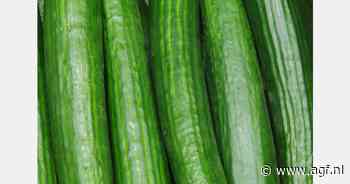Levendige Franse komkommermarkt deze zomer