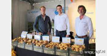 "De prijs van pootgoed voor vroege export is gestart op hoog niveau"