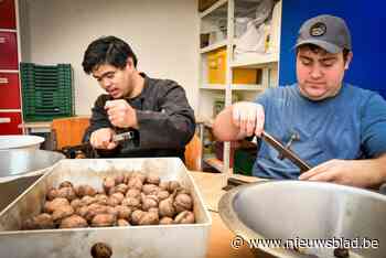 Walnoten kraken zorgt voor zinvol werk: “Er zijn er die zelfs niets anders willen doen”