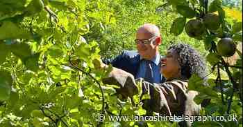 How you can apply for free fruit trees from a thriving East Lancs community orchard