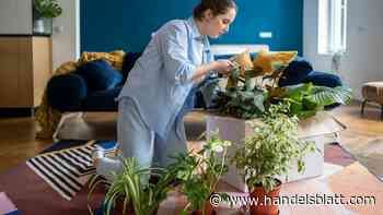 Steuern sparen: An Verwandte vermieten – Fünf Fehler, die viel Geld kosten