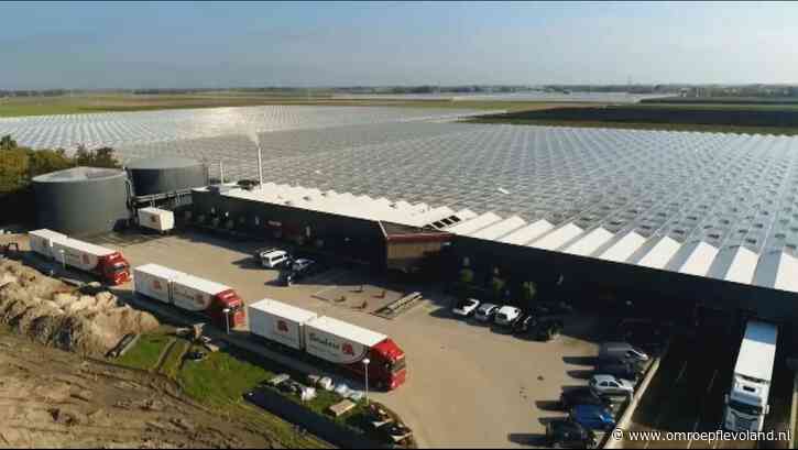 Luttelgeest - Vader en zonen achter Kwekerij Bernhard ruziën bij rechter over machines en werktuigen