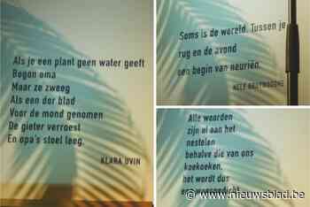 Zes vrouwelijke ‘toogdichters’ winnen wedstrijd bierkaartjespoëzie