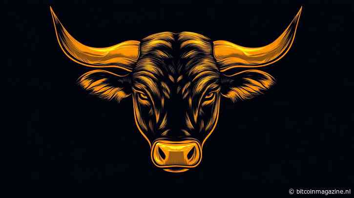 “Bitcoin koers schiet nog dit jaar naar $90.000 vanwege gunstige RSI”