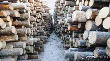 Vancouver company reducing lumber production at B.C. sawmills, citing market challenges