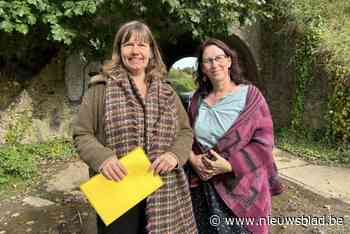Meer dan 450 Herentenaren ondertekenen petitie om wateroverlast aan te pakken: “Tijd dat gemeente en provincie in actie schieten”