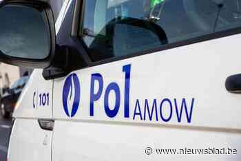 1.032 reizigers gecontroleerd bij actie van politie en De Lijn