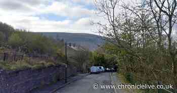 Everything we know as girl, 12, suffers life-changing injuries in dog attack