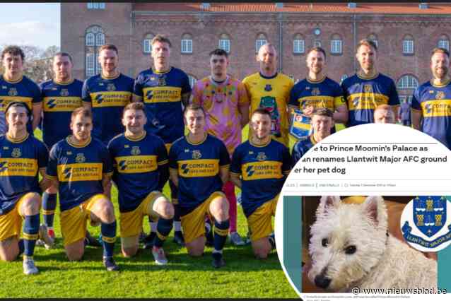 Stadion genoemd naar hond, en octopusshirts met hartverwarmend verhaal: 5 leuke weetjes over Llantwit Major, Welshe tegenstander van Berchem Sport