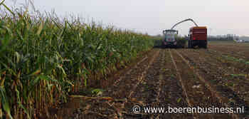 Kopers en verkopers maïs komen moeilijk bij elkaar