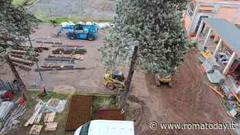 Lavori al Gullace, la preside: "Chiesto più volte lo spostamento delle classi, le aule ci sono"