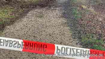 Tödliche Würge-Attacke im Wiblinger Wald: Urteil wird erwartet