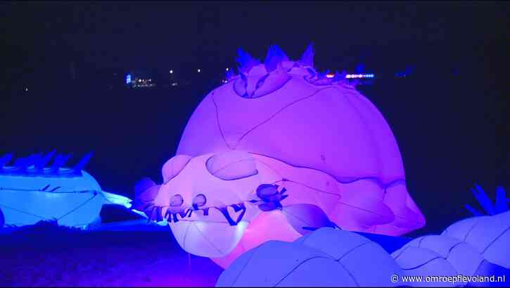 Almere - Auto op z’n kop bij Weerwater is onderdeel van lichtkunstfestival