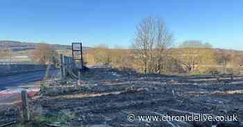 Proposed 13-home development in Low Fell rejected by councillors