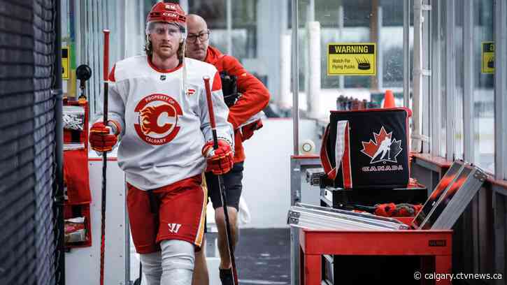 Calgary Flames seek stability, progress and playoffs with younger roster