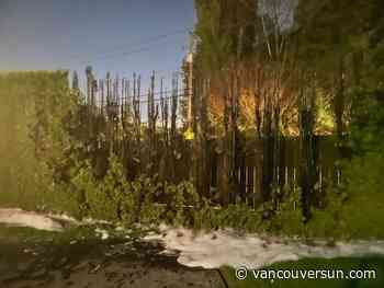 Surrey increases fines for fireworks violations