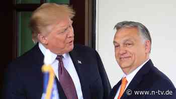 "Werden mehrere Flaschen öffnen": Orban will bei Trump-Sieg mit Champagner feiern