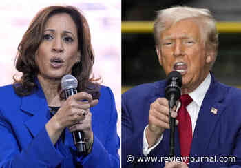 Favorite flips again in Trump-Harris election betting odds