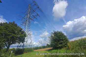 Giga-Stromtrasse vor der Haustür: Was die Gegner beschäftigt