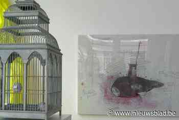 Kunstwerken van Panamarenko uit privé-collectie te koop