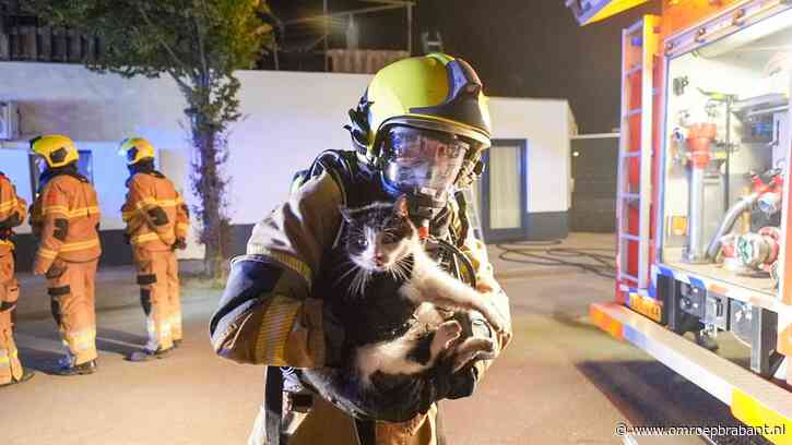 Poes gered uit brandend huis, brand trekt veel bekijks