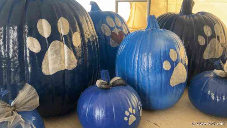 Blue pumpkins honoring Lieutenant Craig Lehner, K9 Shield on sale this weekend