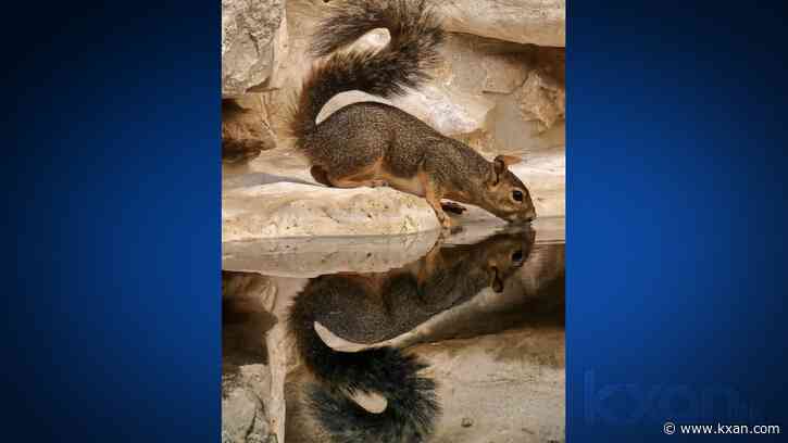 RESULTS: This is the best KXAN viewer photo of September 2024, as voted by you