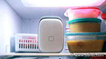 I tested a smart device that made my food last longer and it's 33% off right now