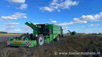 Kletsnat voorjaar terug te zien op de rooimatten