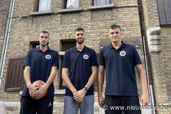 BBC Wille Hansbeke boekt eerste zege onder impuls van nieuwe Oekraïener: “Dat Volodymyr Shevchuk een aanwinst is, was meteen duidelijk”