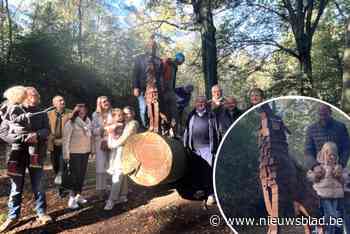 Stalen wolf vindt vaste stek in natuurgebied Het Rood