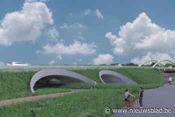 Bouw nieuwe brug Mol ter Nete start komend voorjaar: extra aandacht voor veiligheid en natuur in de buurt