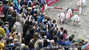 Wie steht es um Schweizer Traditions-Messen?
