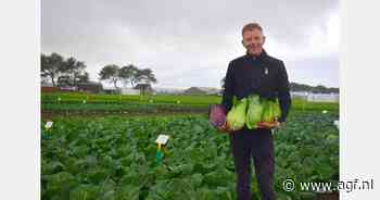 “We gaan savooiekool een boost geven”