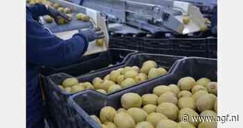 "Tot en met juni Griekse kwaliteit kiwi's aanbieden"