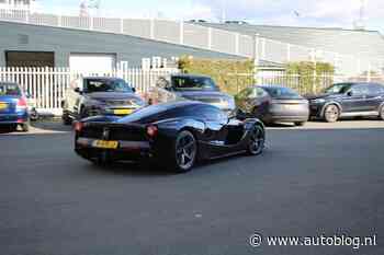 Gespot – De ex van Fernando Alonso