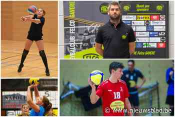 VOLLEYBABBELS. Positieve balansen voor Gavere, Meerbeke en Wetteren, JTV Zele Berlare beseft dat het zwaar seizoen wordt