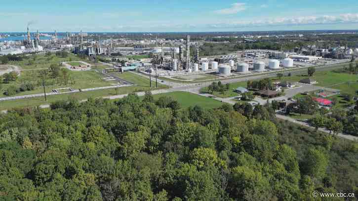 Benzene is everywhere — how much exposure is safe?