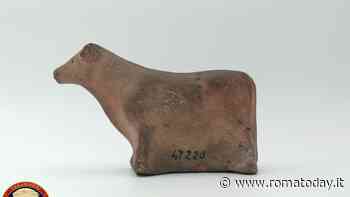 Il "torello di Veio" torna al Museo nazionale romano dopo oltre 100 anni