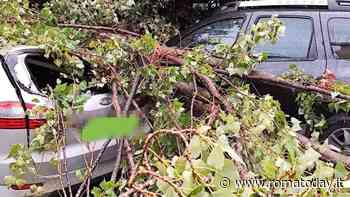Magliana, grossi rami caduti sulle auto in sosta. "Una città dove regna l'improvvisazione"