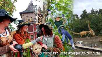 Herbstferien in Braunschweig: Langeweile? Sieben tolle Tipps!