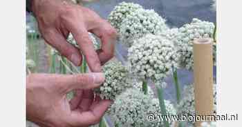 Studiedag Stichting Zaadgoed: creativiteit en biodiversiteit in de keten waarborgen