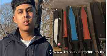 Boy stabbed to death in park by knife-obsessed teen who bought weapons online