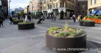 New plants installed to make Newcastle's Monument 'safer' as traffic ban remains on hold