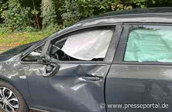 POL-STD: Agathenburg: Erneut Verkehrsunfall zwischen Pkw und Pferd