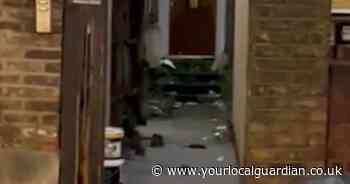 Mum 'disgusted' by swarm of rats when taking kids to school in south London